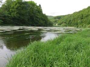 River view