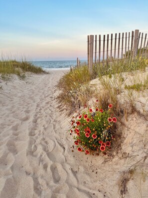 Beach Access