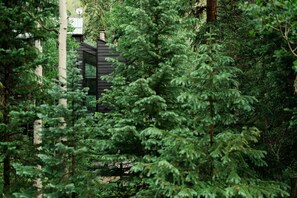 Your Secluded Rockies Getaway