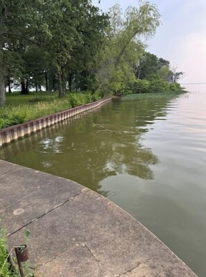 Lakeside view 