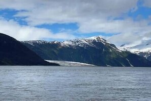 Glacier viewing while riding up river
