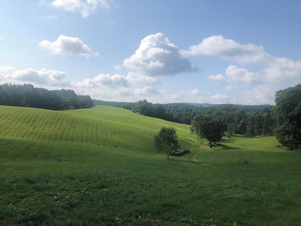 View from back yard looking south.