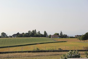 Vue montagne