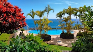 Step into paradise at Glorious Apartment, where the azure pool is enveloped by lush tropical gardens. Relax and rejuvenate in this idyllic oasis of tranquility. #swimmingpool #garden #tropicalisland #funchal #forummadeira