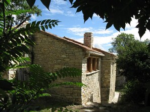 Exteriör