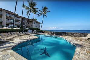 Pool and Spa