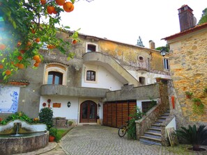 Front view