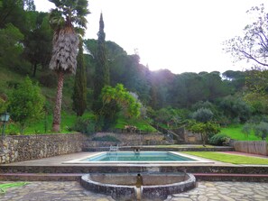 Swimming pool view