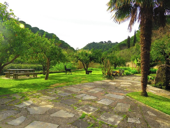 Garden view