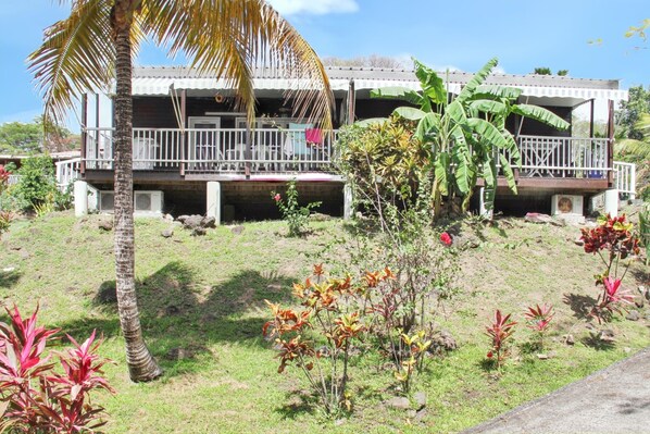 Garden view