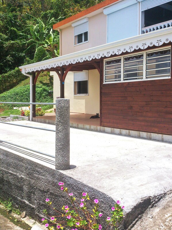 Front view