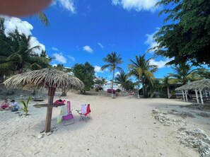 Areal view