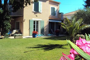 Front view