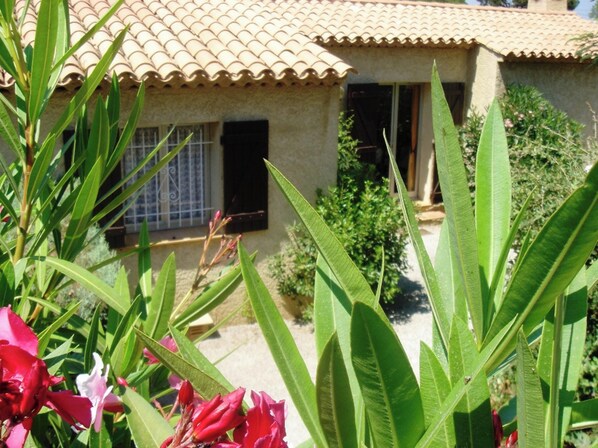 Vista frontal
