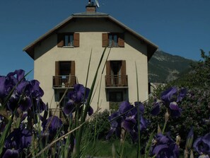 Front view