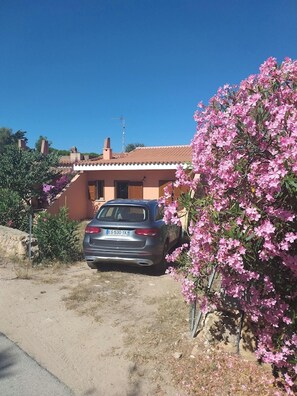 Front view