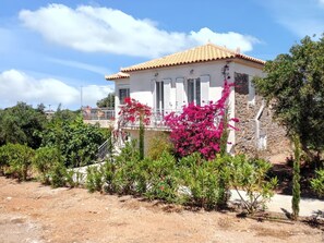 Back view