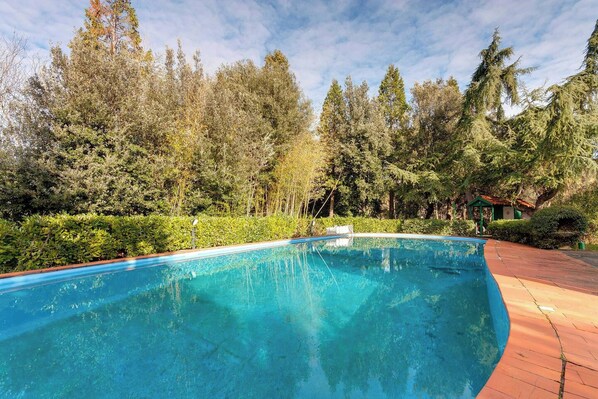 Swimming pool view