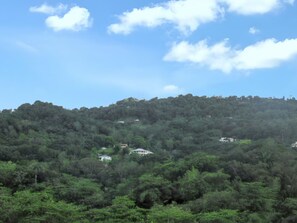Areal view