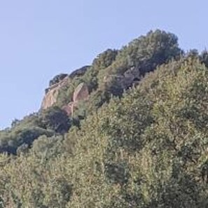 Areal view
