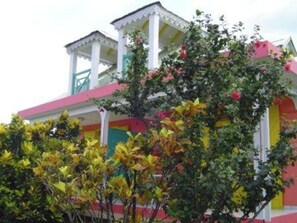 Front view