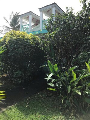 Areal view