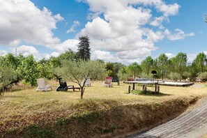 Petanque strip