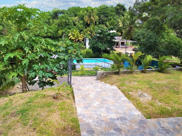 Swimming pool view