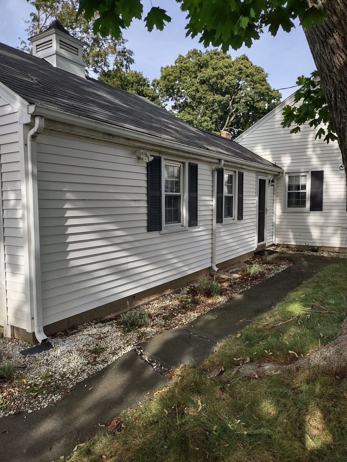 Pet Friendly One Bedroom House Clinton CT Minutes to Water Train and Downtown