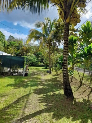 Eingang