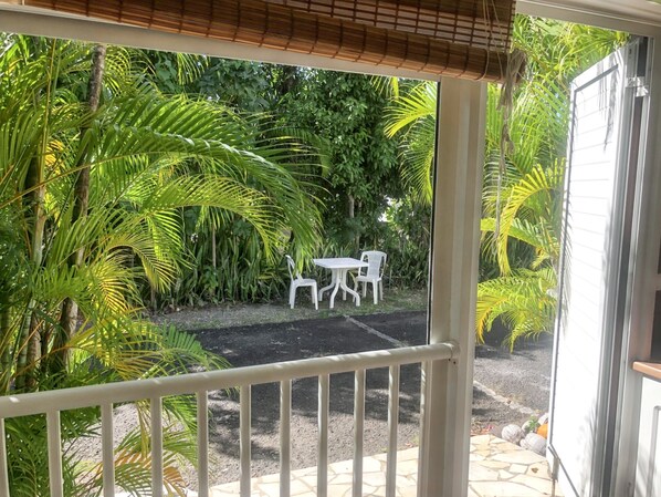 Garden view