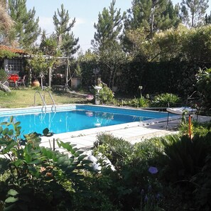 Swimming pool view