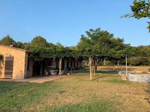 Front view