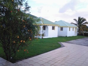 Areal view