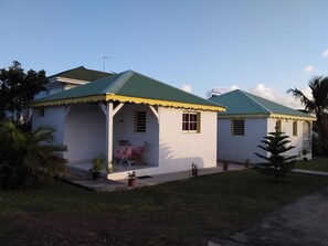 Front view