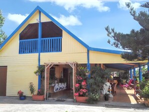 Front view