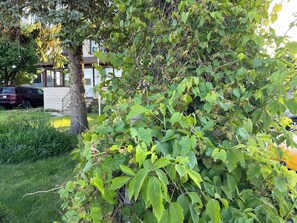 Ulkoalueet