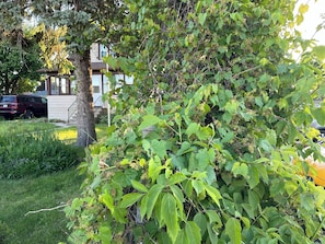 Ulkoalueet