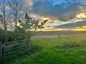 Gate into field