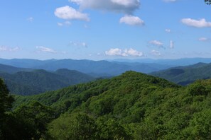 Area View