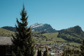Scenery