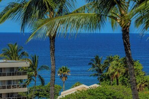 Beautiful ocean view