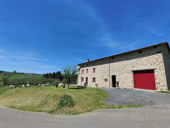 Exteriör
