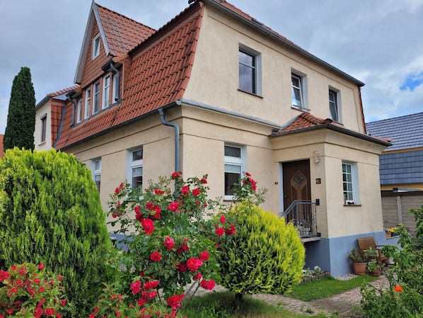 Exteriör