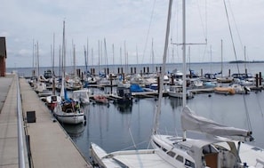 Marina