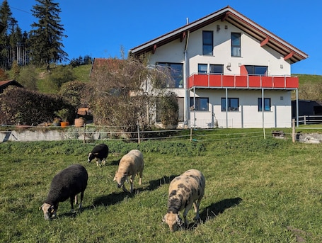 Außenbereich