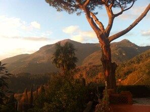 900 mt. high Mount Gabberi in the distance (2953 feet) 