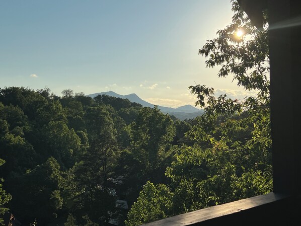 Vista desde la propiedad