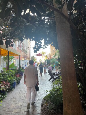 Overnatningsstedets område