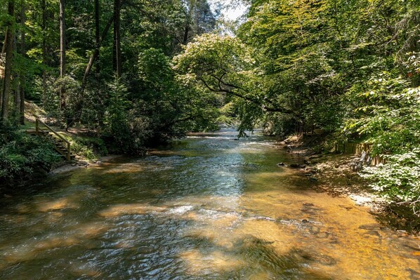 BACKYARD BIG CREEK